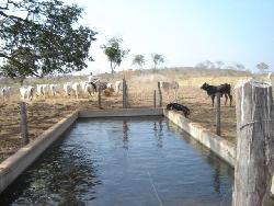 Fazenda para Venda em Ibiaí - 1