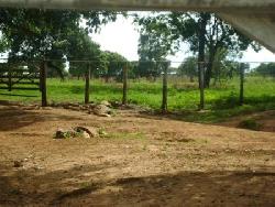 Fazenda para Venda em Ibiaí - 5