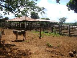 Fazenda para Venda em Ibiaí - 4