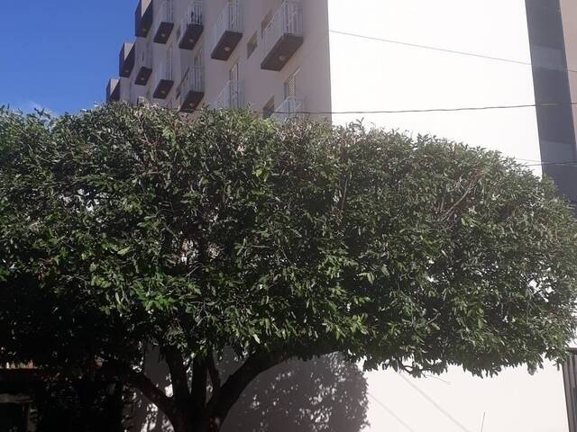 Locação em Vila Nova Cidade Universitaria - Bauru