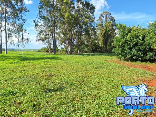 #8192 - Área para Venda em Arealva - SP - 2