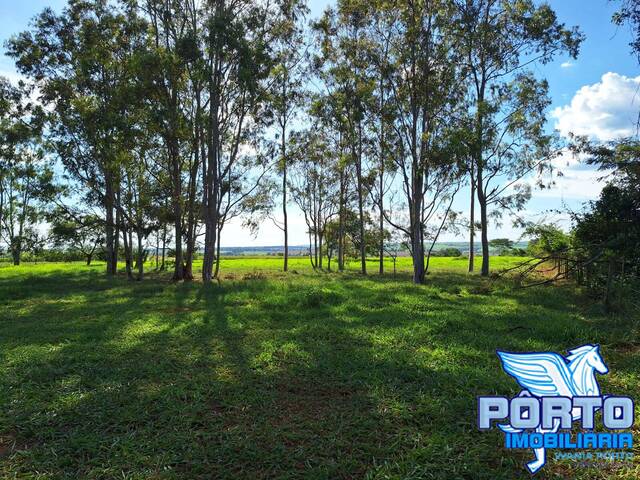 #8192 - Área para Venda em Arealva - SP - 3