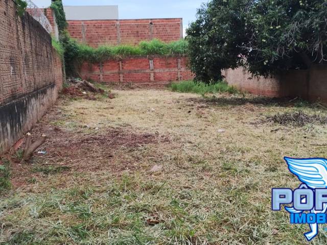 #6009 - Área para Venda em Bauru - SP - 3