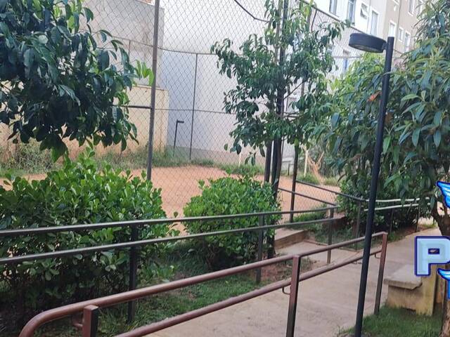 #8900 - Apartamento para Locação em Bauru - SP - 3