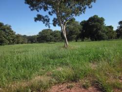 Terreno para Venda em Bauru - 2